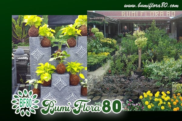 bumi flora 80 - img home 1-min